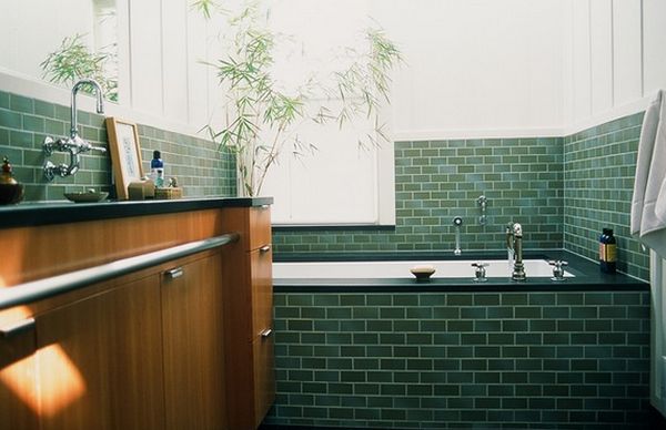 [PHOTOS] Plantes et fleurs dans la salle de bains